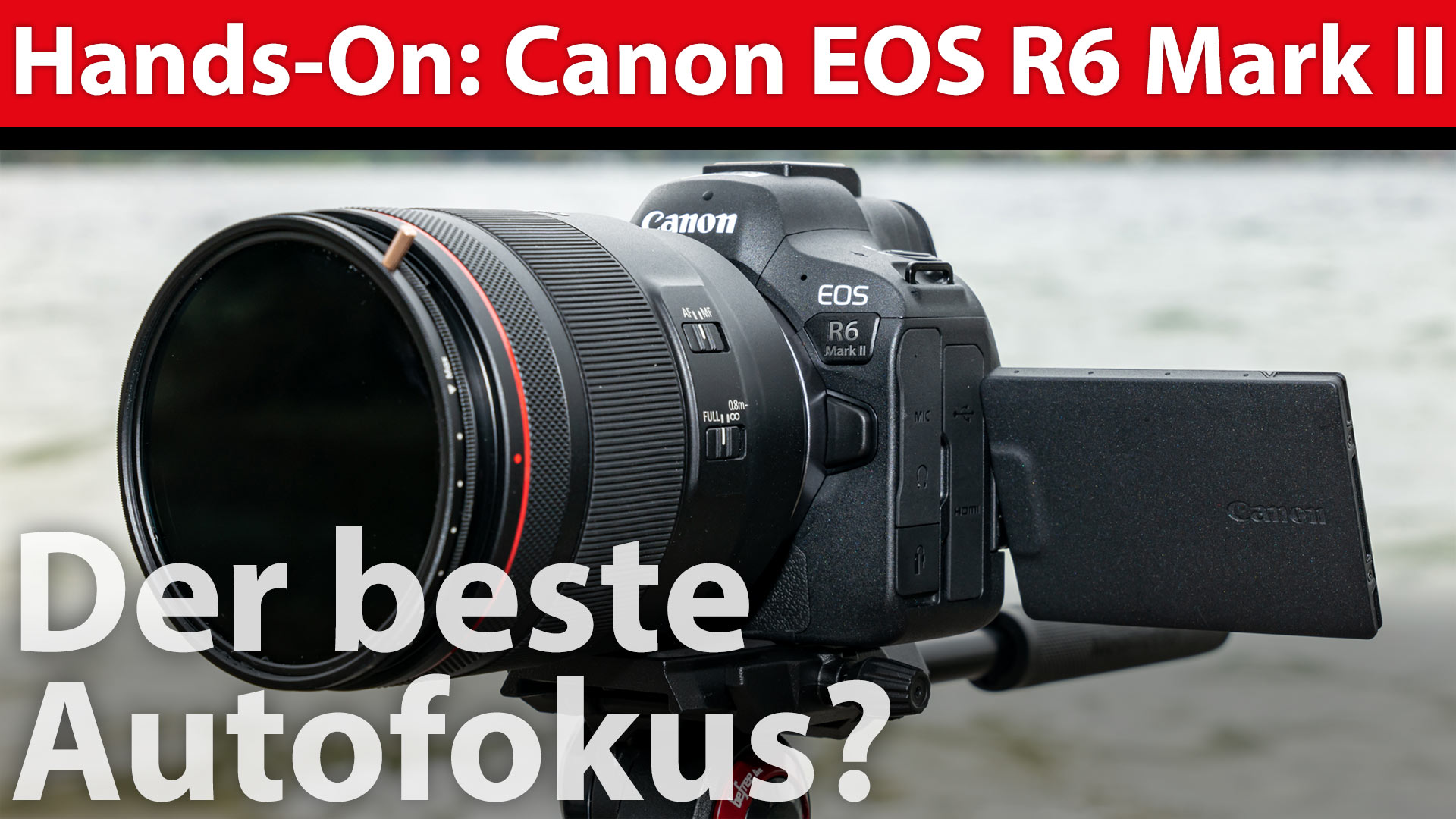 Canon R6MarkII YT
