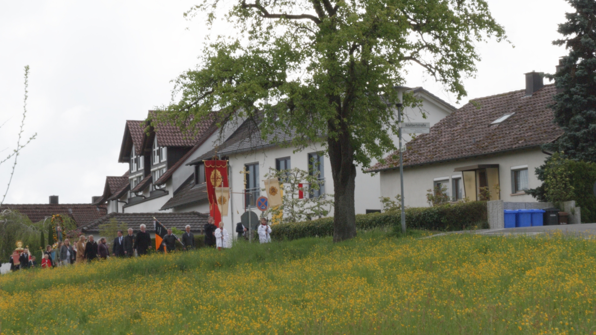 panasonic gh6 Tele 60mm web