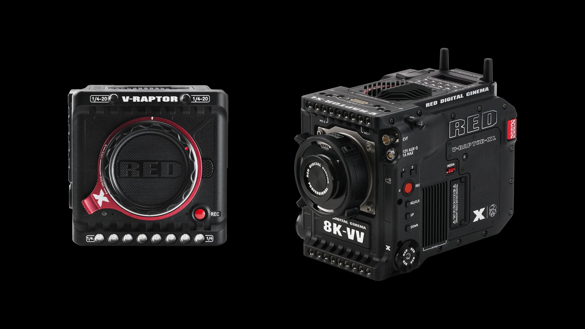 RED V-Raptor X und XL: 8K-Vollformatkameras mit Global Shutter