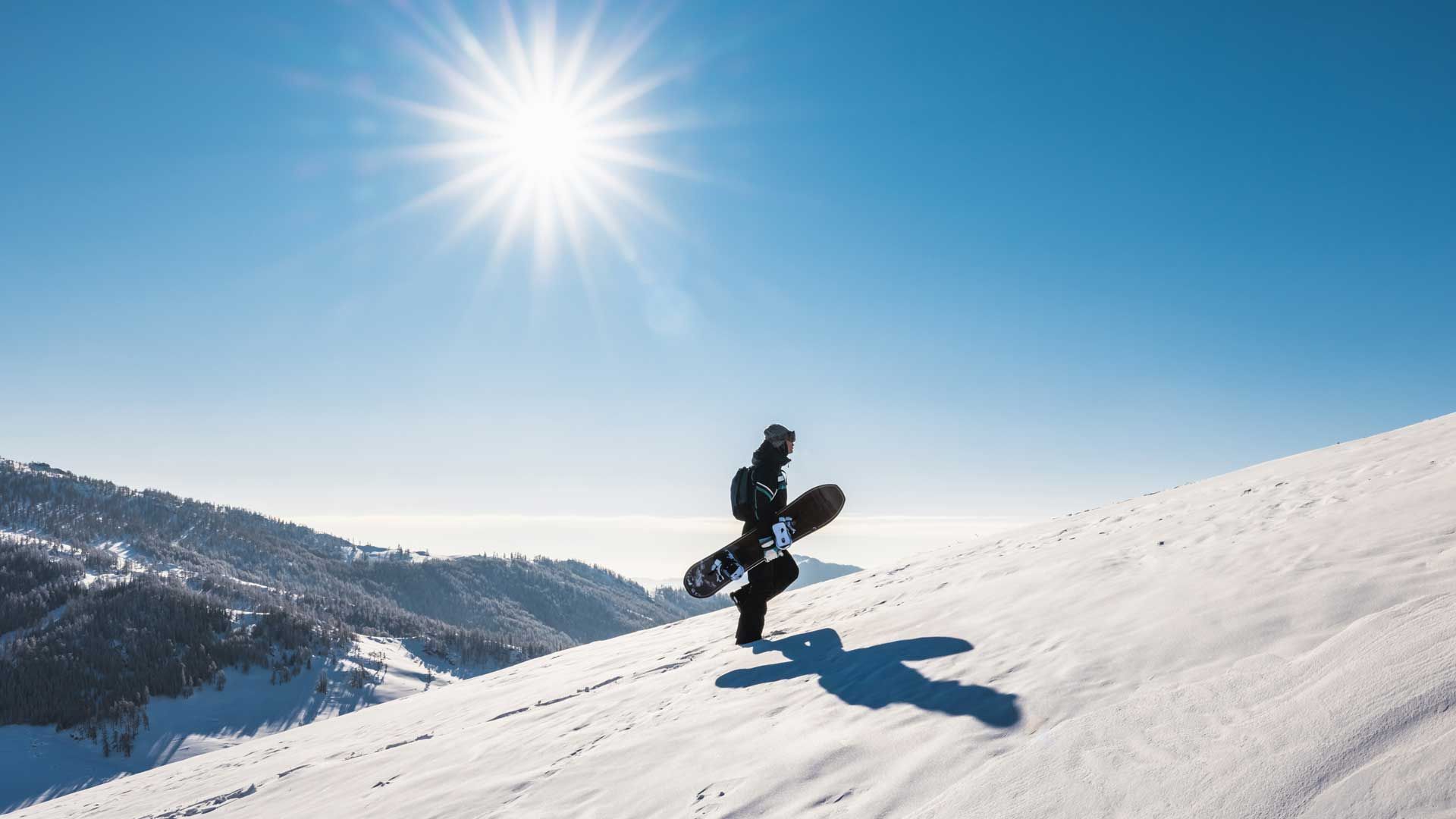 Winter-Cashback: bei Canon und Panasonic